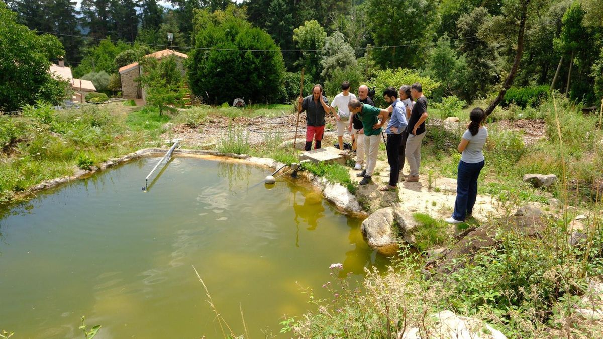 El sistema de recollida d'aigües pluvials al Montseny.jpg