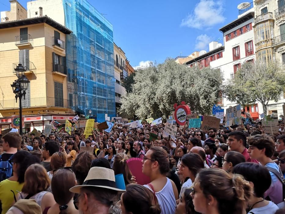 Die große Klimaschutz-Demo auf Mallorca