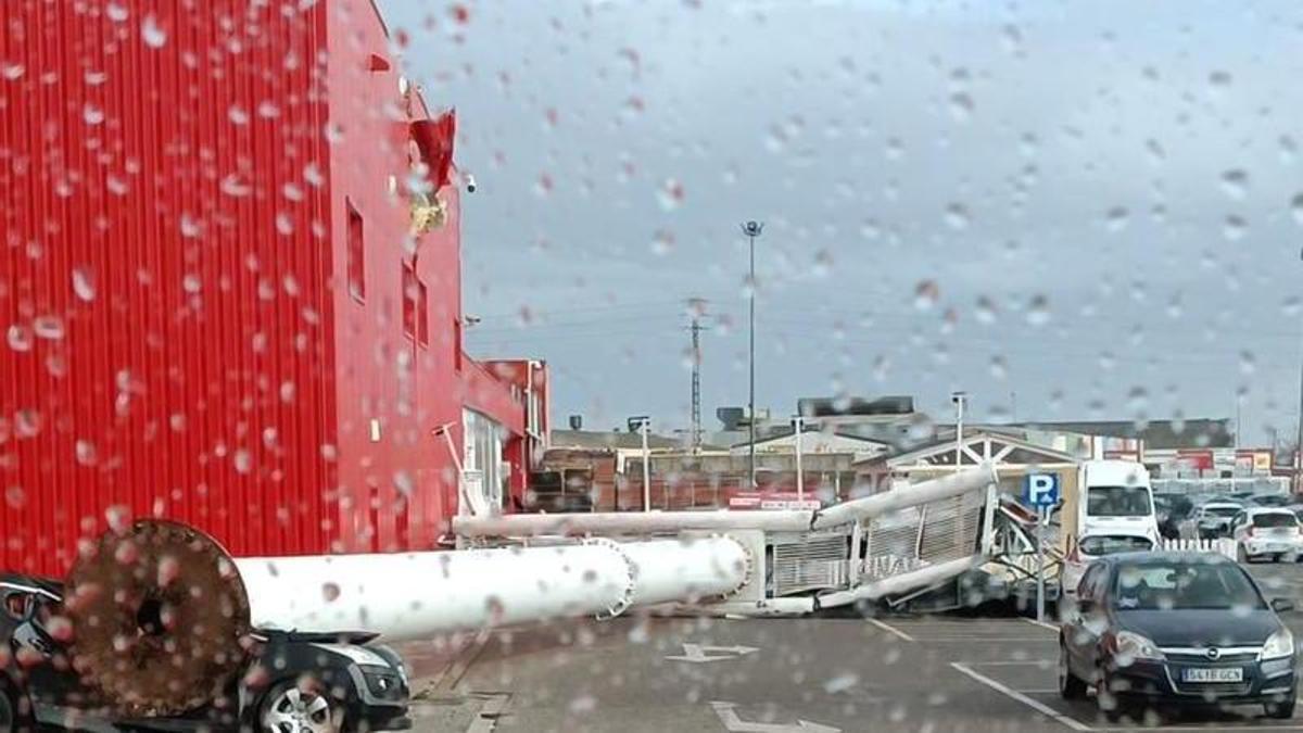 Árboles, semáforos y palmeras al suelo por las fuertes rachas de viento en València