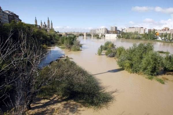 Fotogalería: Imágenes del temporal en Montañana, Zuera y Zaragoza capital