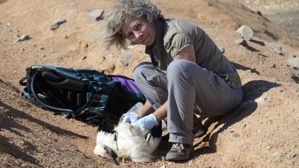 Ursula Höfle, investigadora y experta en gripe aviar.