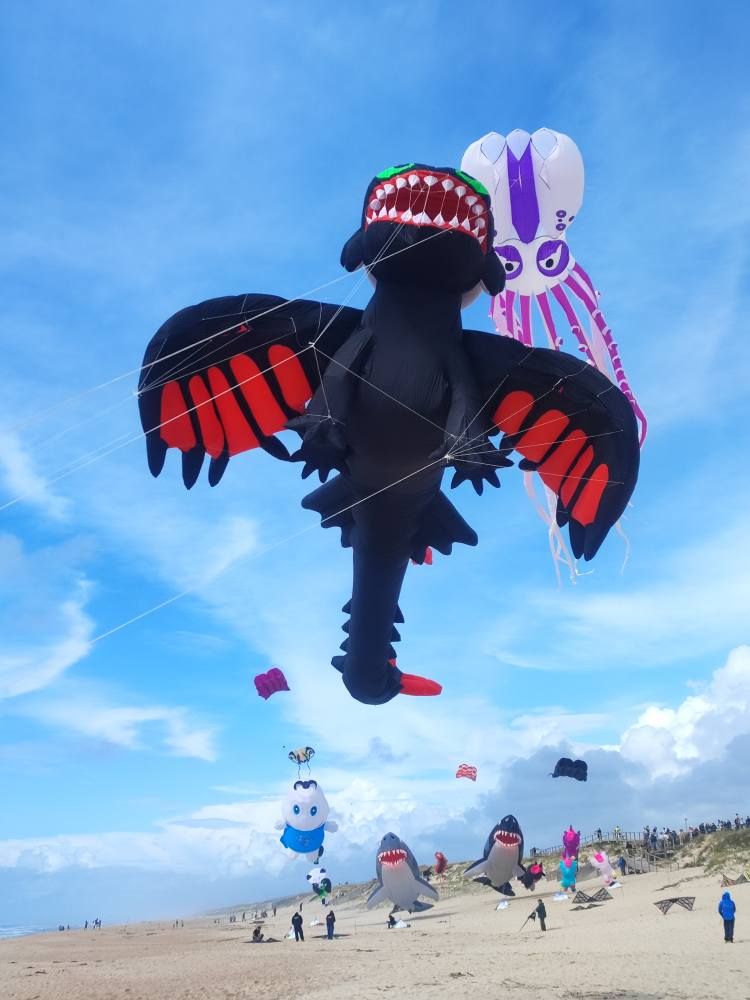 Magia para la vista: el festival de cometas que colorea el aire en Portugal