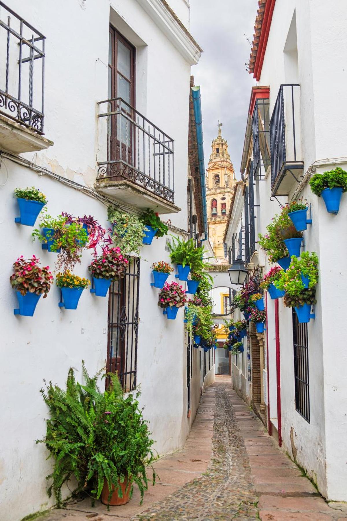 La Calleja de las Flores en el centro histórico de Córdoba