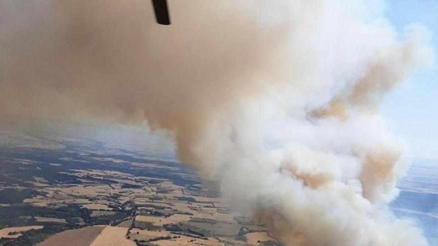 Incendio forestal en Loporzano: 75 hectáreas afectadas y operativo de emergencia en Huesca