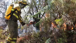 Arde lo público