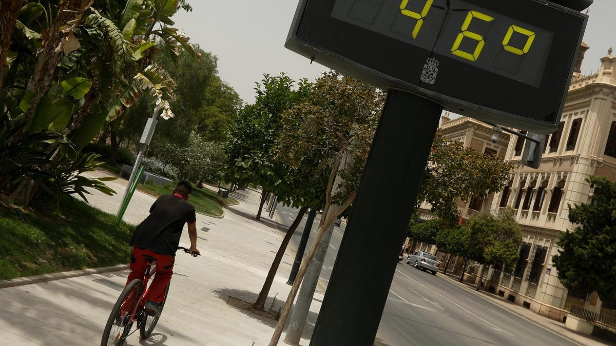 Altas temperaturas este verano