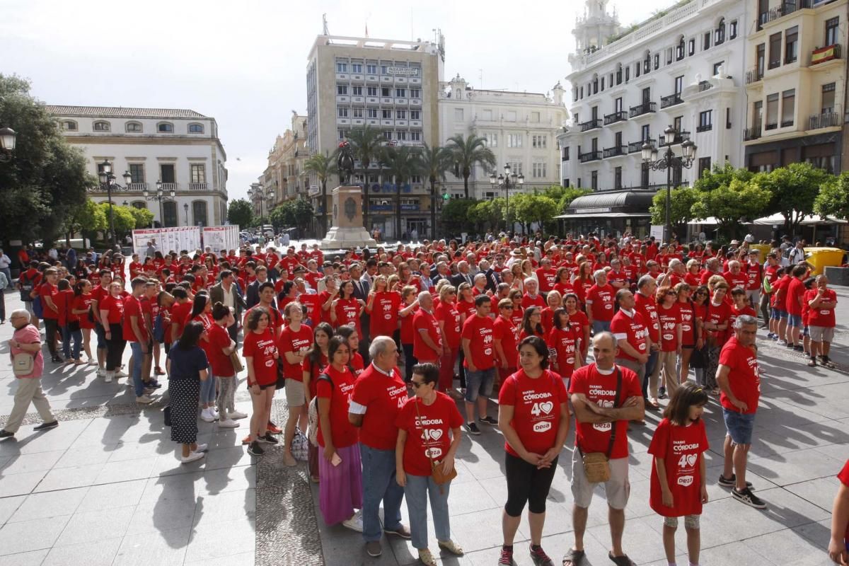 Las Tendillas se llena de 40 años de portadas de Diario CÓRDOBA sobre trasplantes