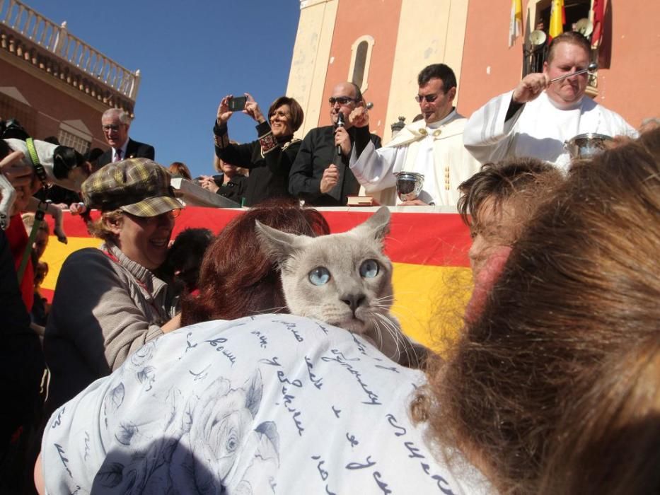 Los vecinos de Cartagena se han acercado junto a sus mascotas a recibir la bendición