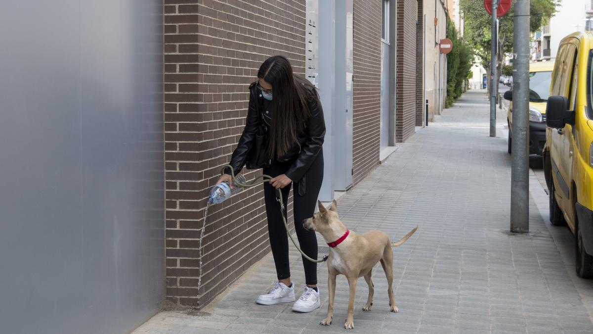 La nova ordenança obliga a netejar les miccions dels gossos