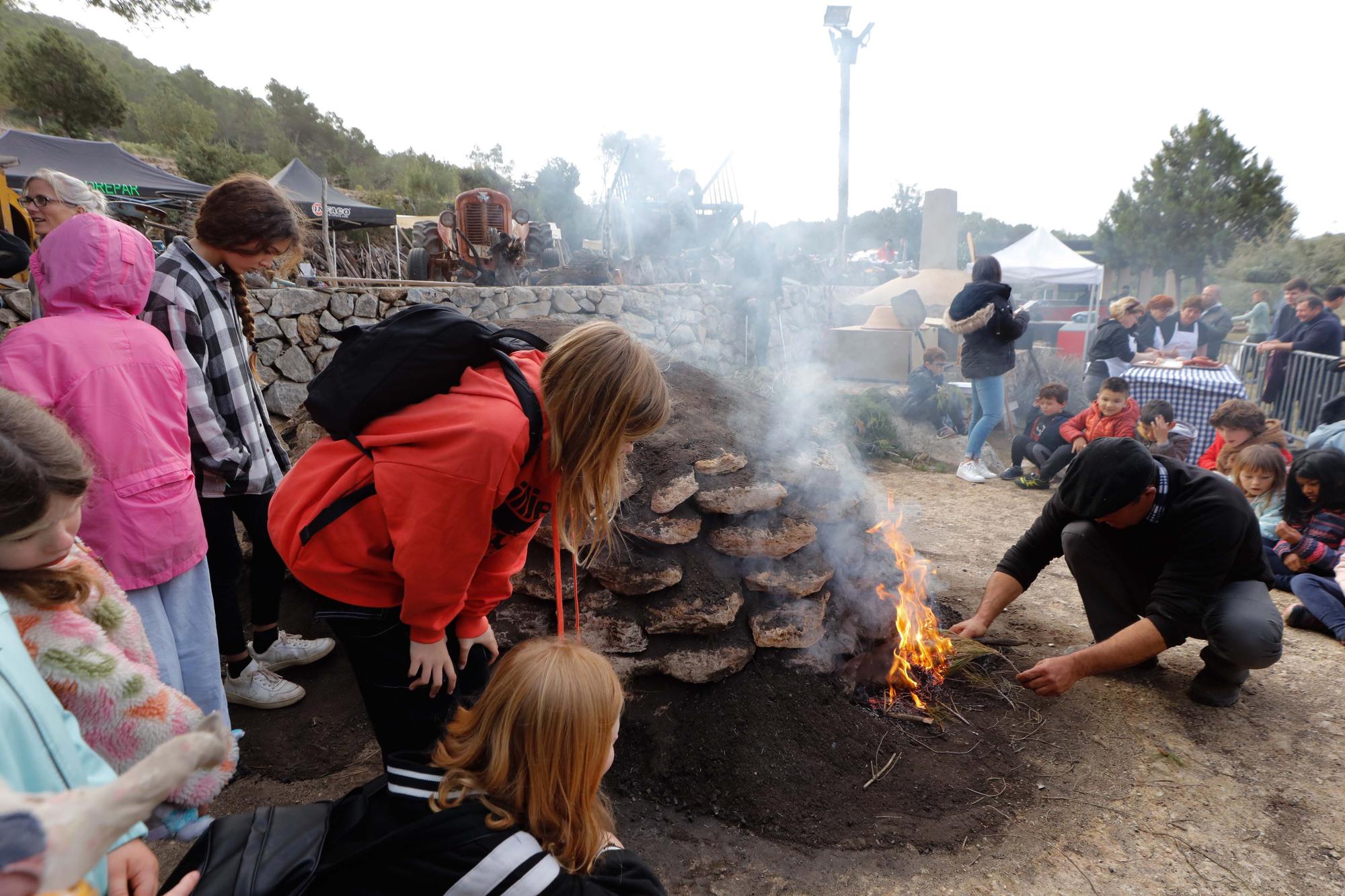 Galería de imágenes de la 'Festa de la Sitja' de Santa Agnès