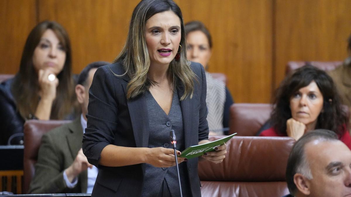 La portavoz del PSOE, María Márquez, en el Pleno del Parlamento