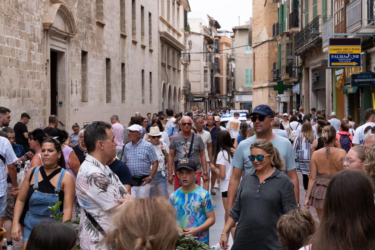 Las fotos del colapso en Palma que ha suturado calles, aparcamientos, buses y servicio de taxi