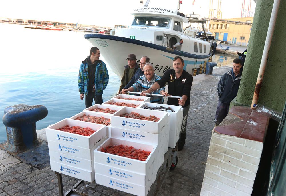 Tan solo cinco compradores y un barco se encargan de llevar el marisco y el pescado de arrastre cada día a la mesa de los malagueños donde la merluza y las gambas son las grandes protagonistas.