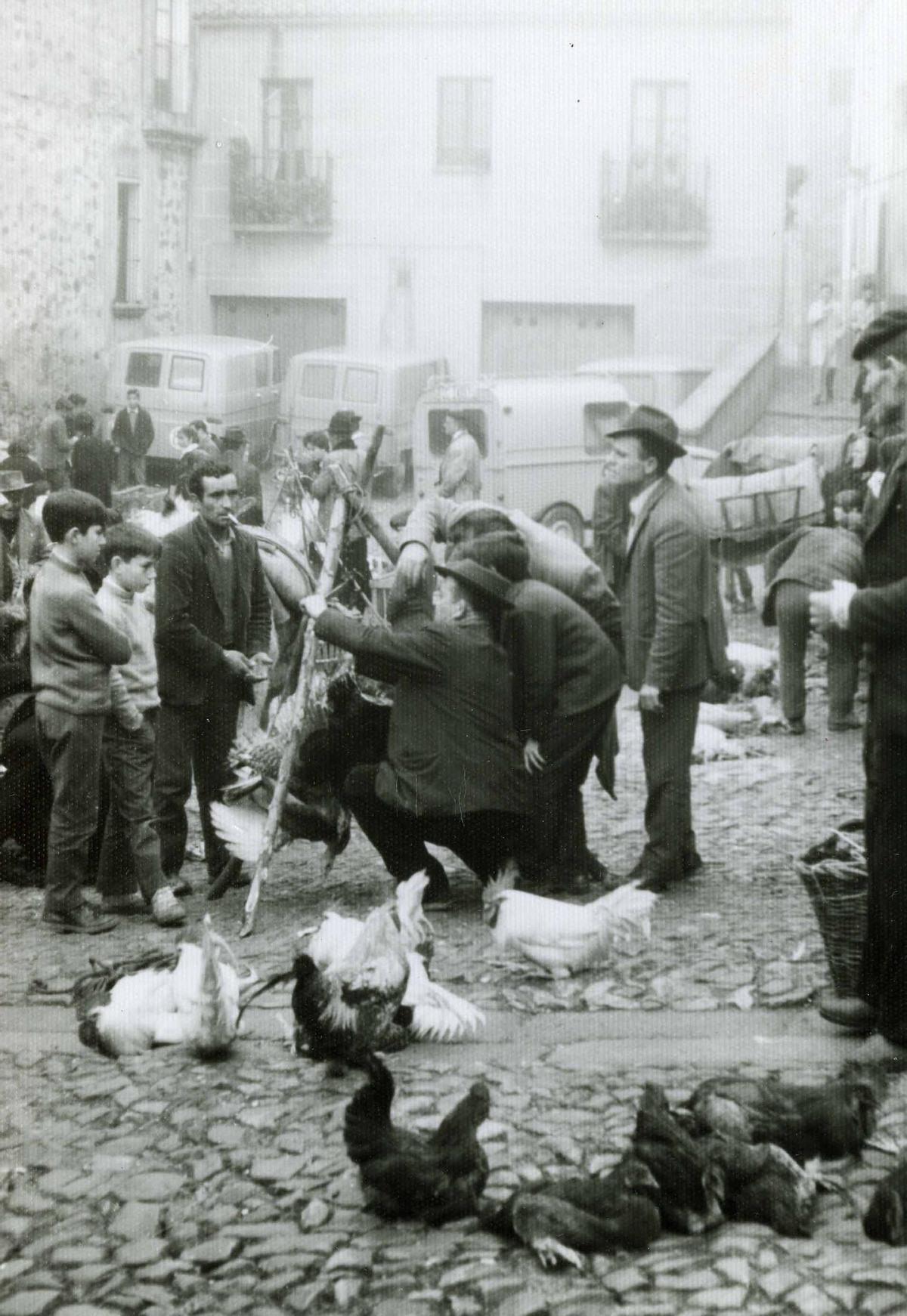 Fotogalería | Así era el mercado de abastos en 1931