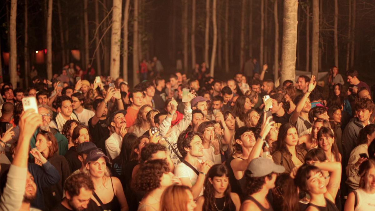 Un dels concerts de l'any passat al bosc de Can Ribes.