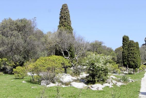 Einer der schönsten Winkel der Insel - das Tal und der Garten von Ariant - kann wieder bei geführten Rundgängen erkundet werden.