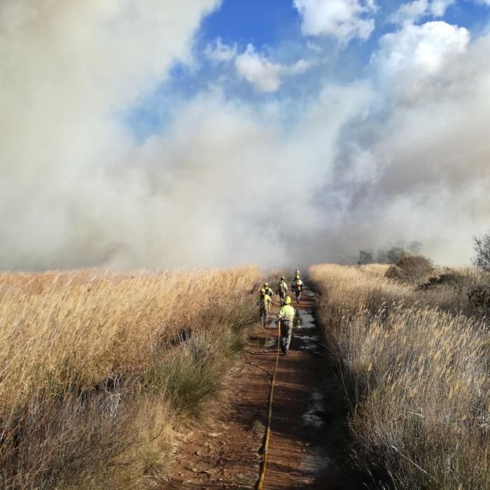 Incendio en el Prat Cabanes-Torreblanca