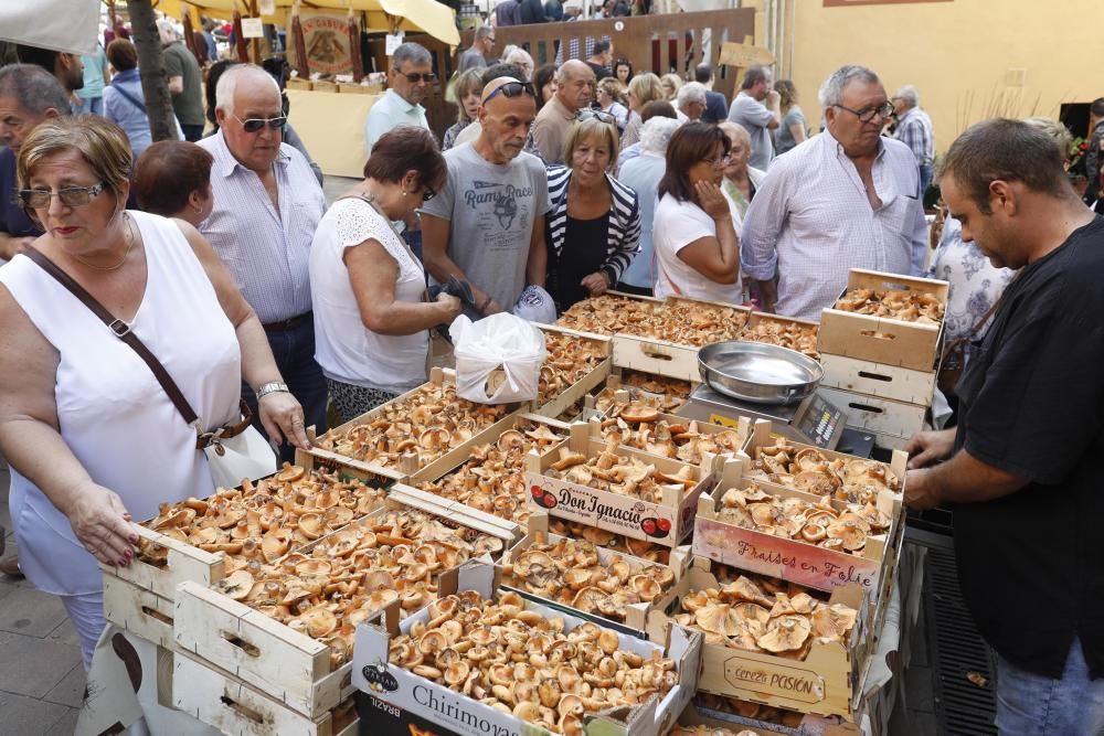 Fira del Bolet de Llagostera