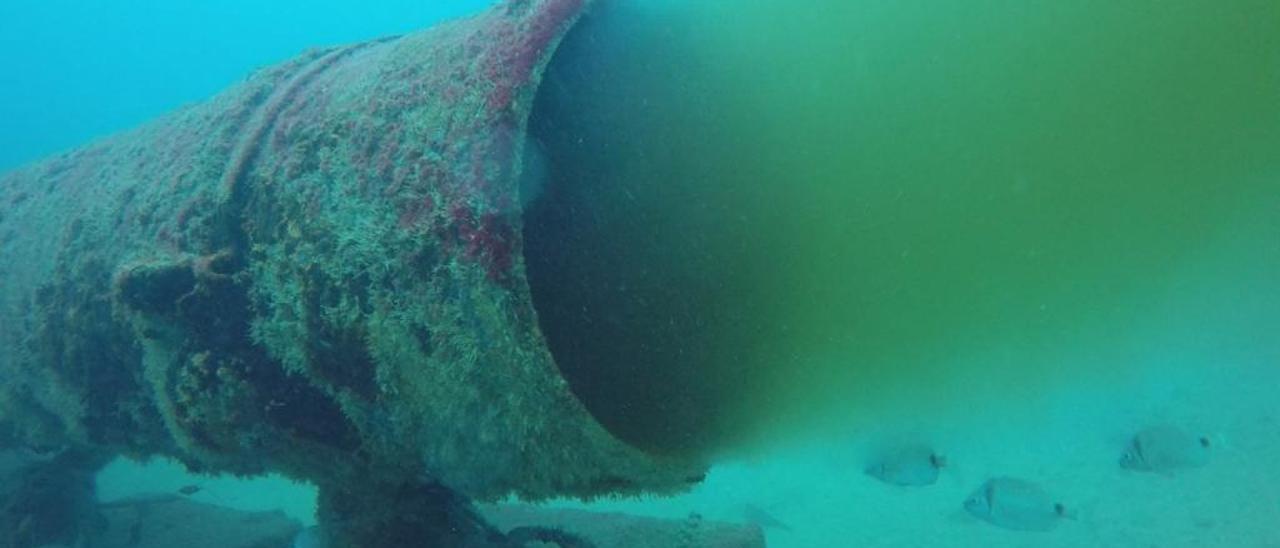Otro estudio del emisario submarino de Gandia alerta de su mal funcionamiento