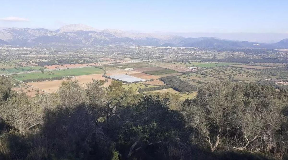 El proyecto de Son Vivot se instalará en las faldas del Puig de Santa Magdalena de Inca.