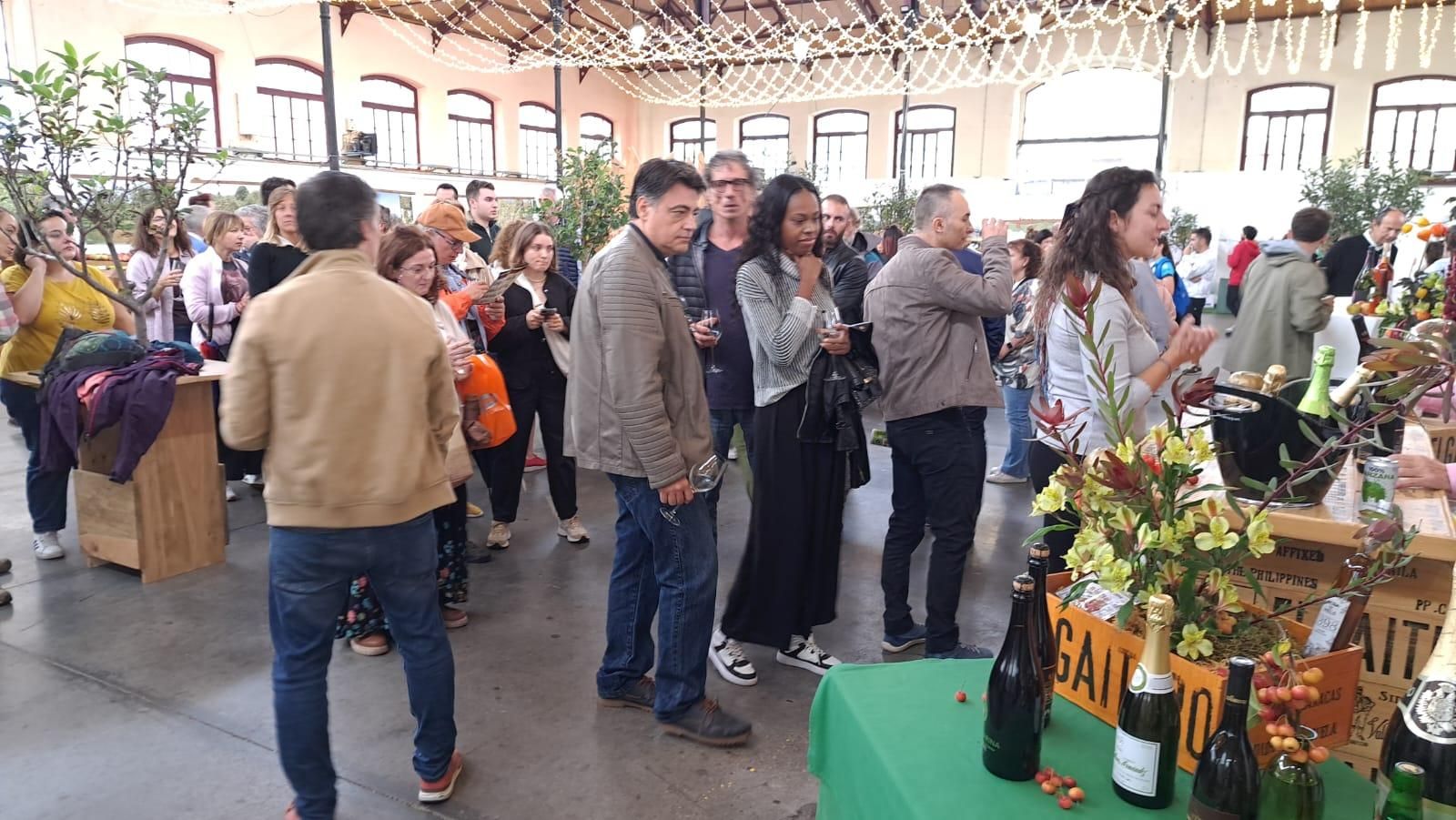 El Festival de la Manzana, EN IMÁGENES