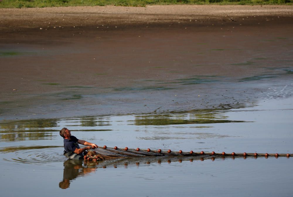 A fish farmer recues fishes from the almost ...