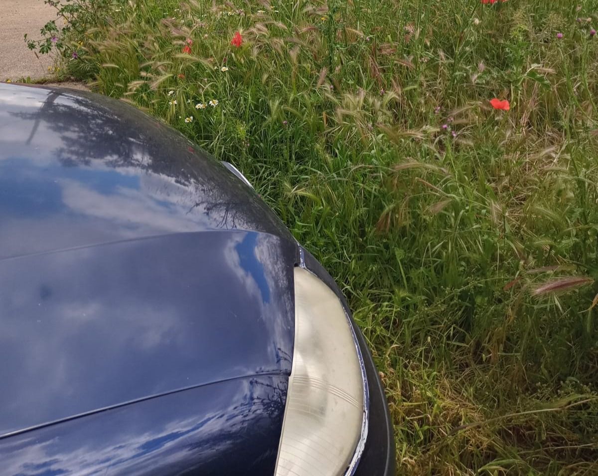 Los vecinos de Alviar en zamora, "hartos" de la maleza descontrolada en sus calles
