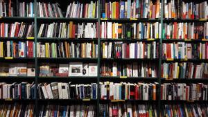 Estanterías llenas en la Casa del Libro, en una foto de archivo