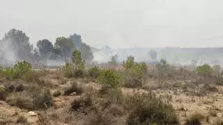 Desalojan dos chalés por un incendio en Torrent