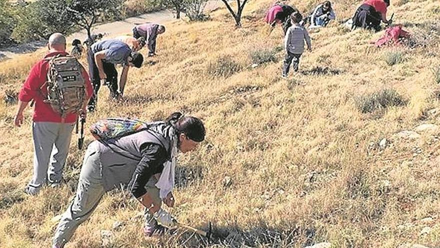 ‘Gran bellotada ibérica’, hoy en Cáceres