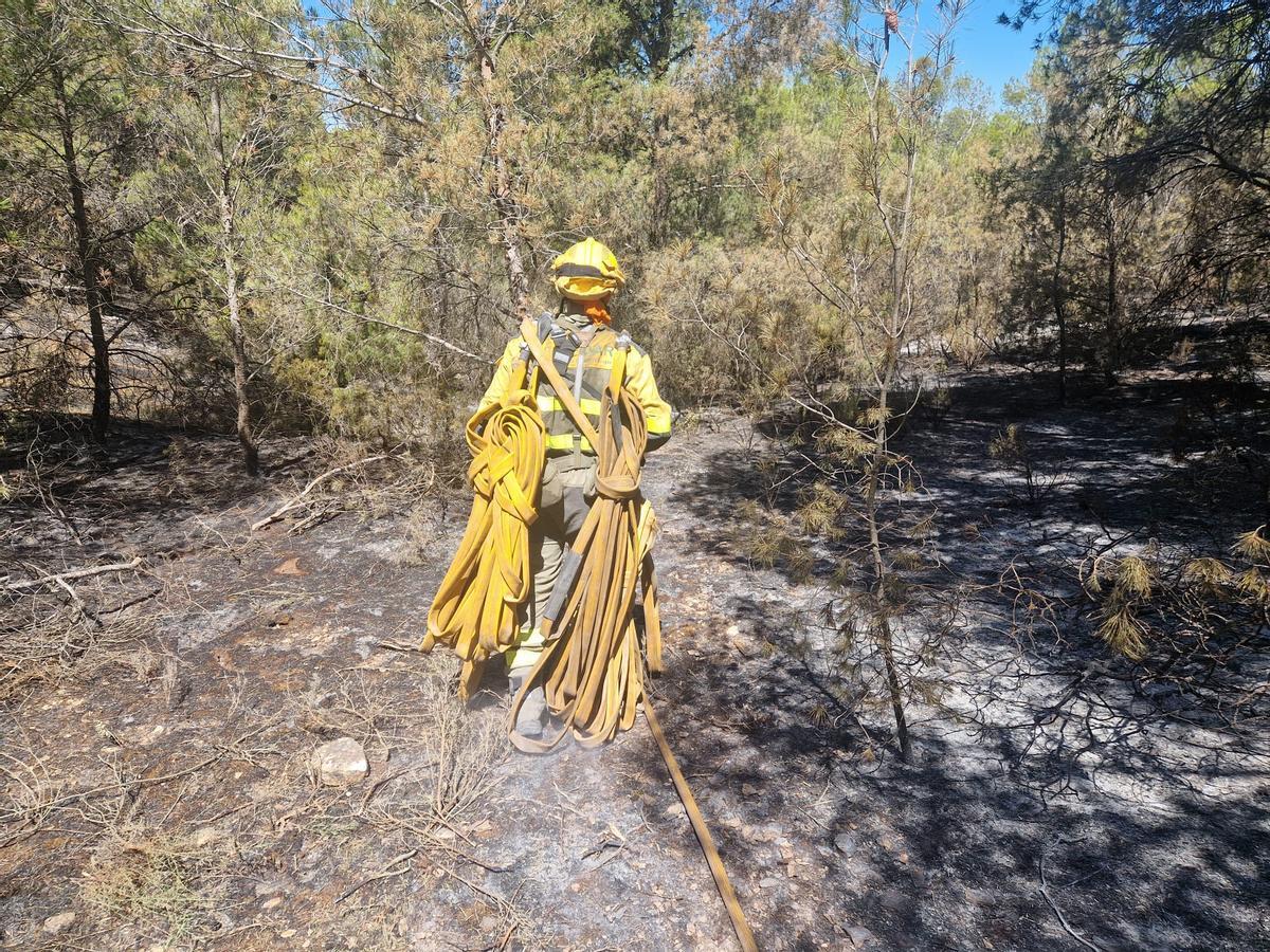 En imágenes I El operativo del Infoar en el sector 1 del incendio de Leciñena, este viernes En imágenes I El operativo del Infoar en el sector 1 del incendio de Leciñena, este viernes