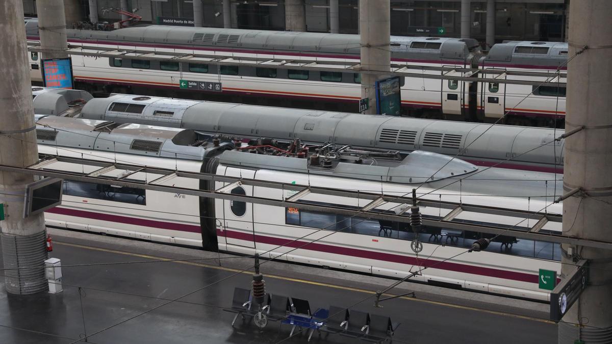 Varios trenes en andenes en la estación de Atocha.