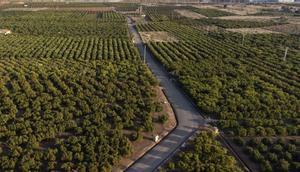 Terrenos que ocupará la gigafactoría de Volkswagen en Sagunto.