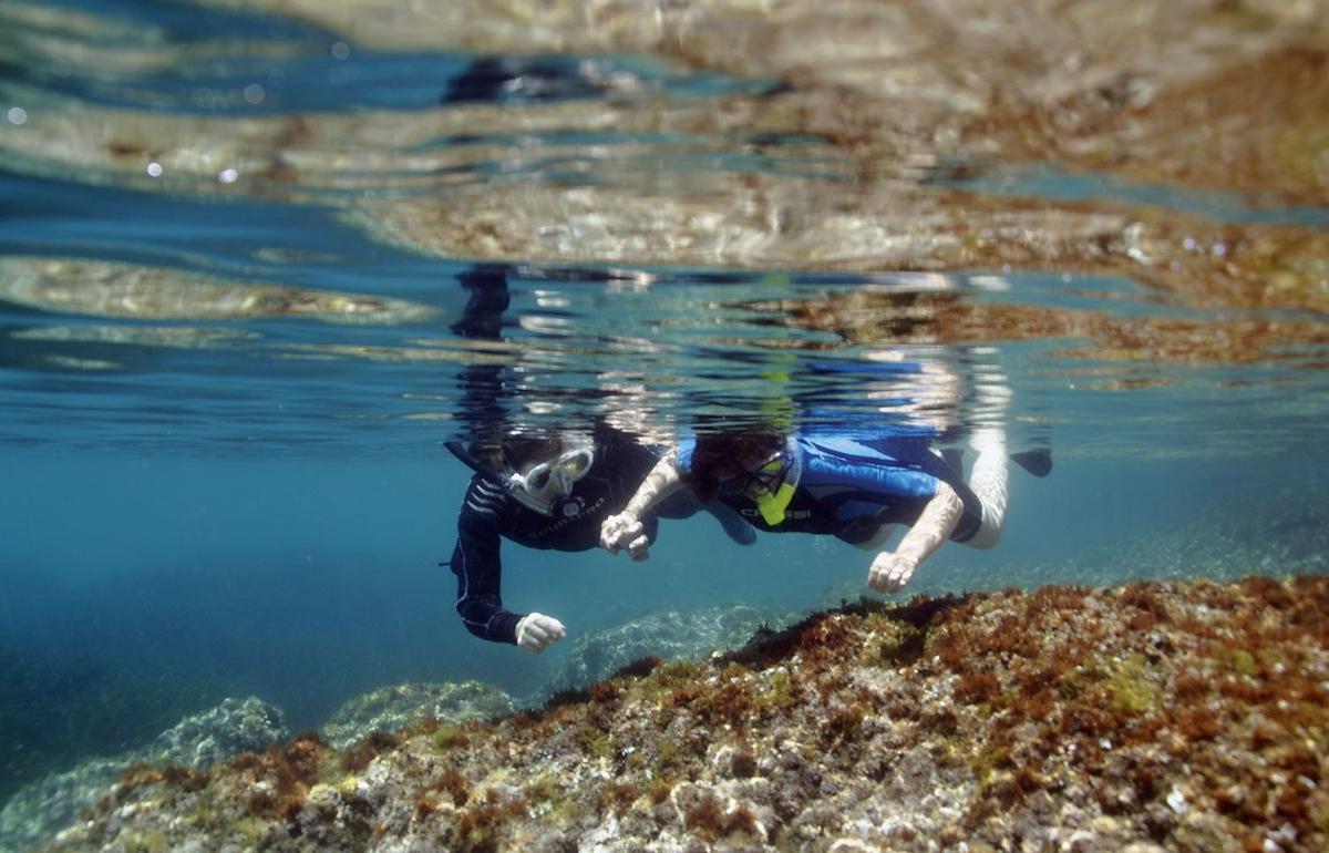 Buceando posidonia