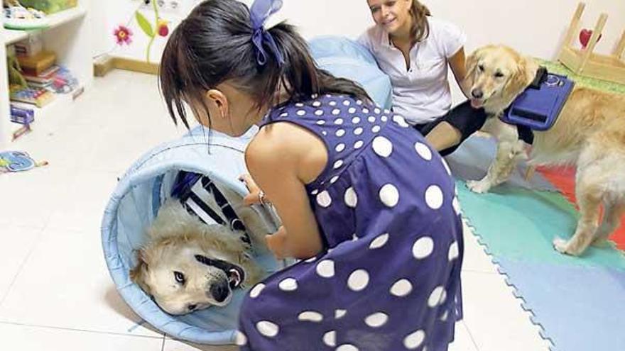 Profesionales de Vigo desarrollan una terapia con los perros para técnicas de logopedia con niños.