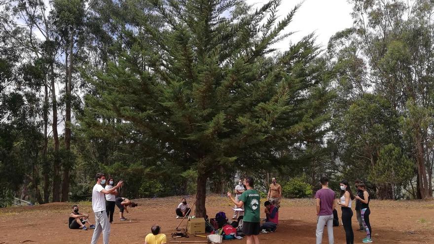 Acción medioambiental de control y eliminación de plantas invasoras en la Montaña de Firgas