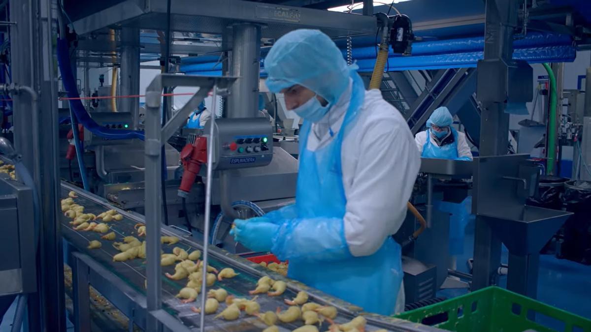 Interior de la factoría de Congalsa.