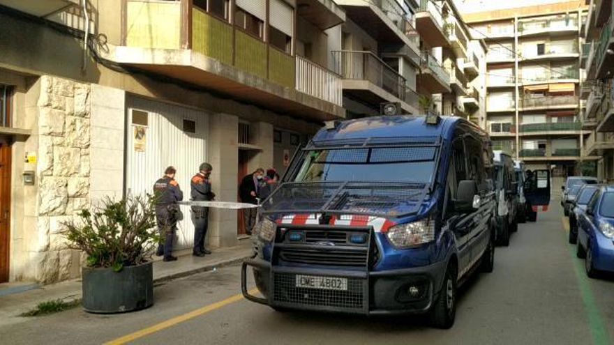 Localitzen 800 plantes de marihuana en un pis de Figueres