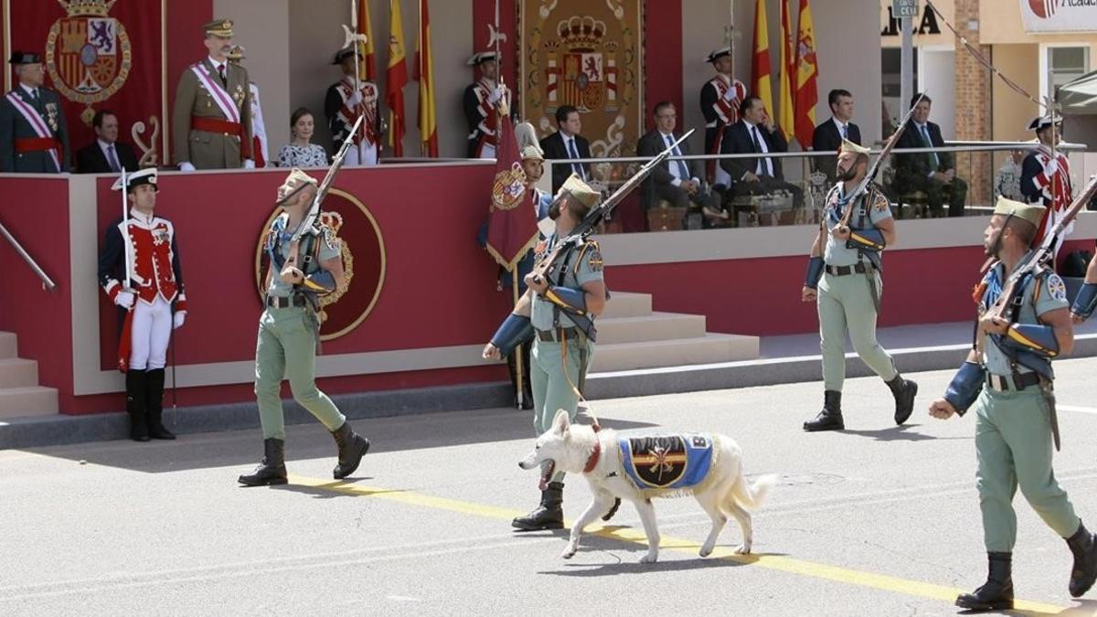 guadalajara  desfile fuerzas armadas TVE