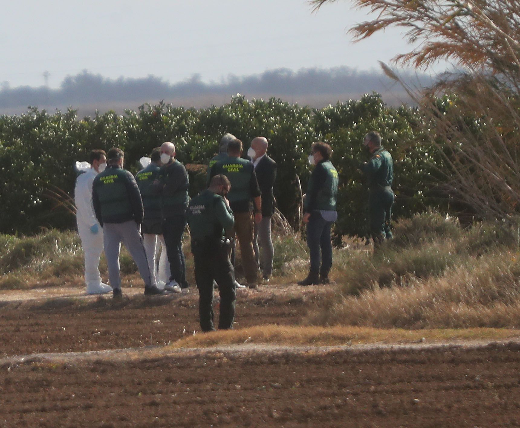 Encuentran el cadáver de una joven en l'Albufera