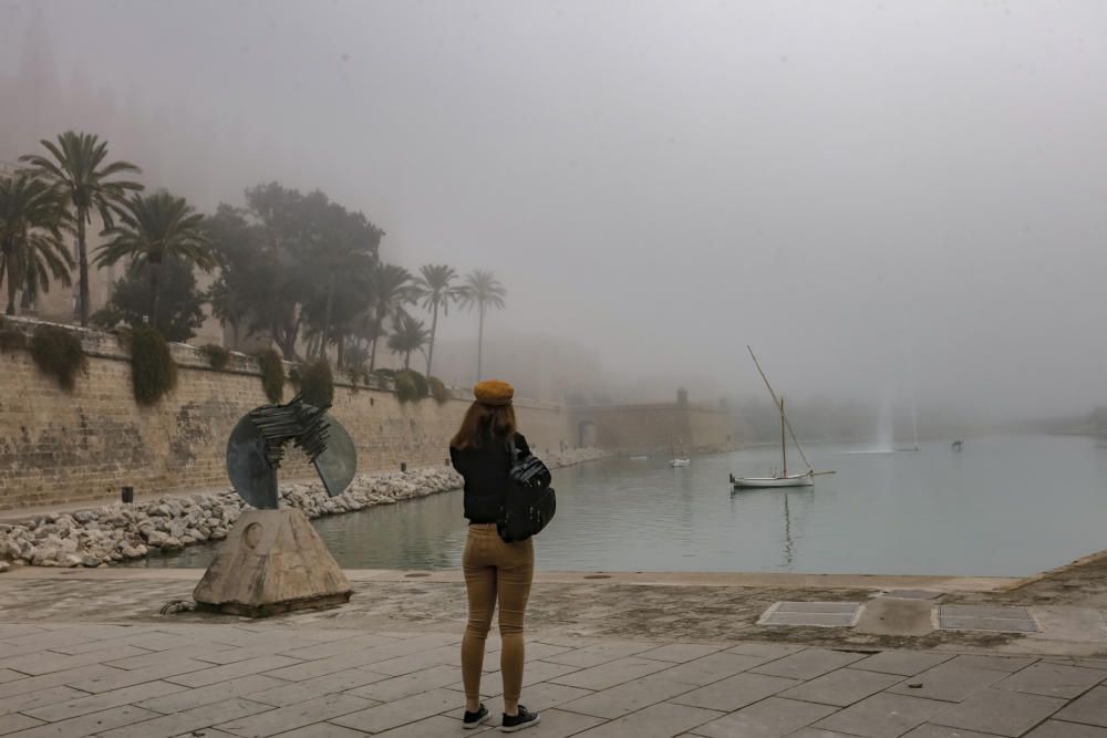 Nebel Mallorca Dezember 2018