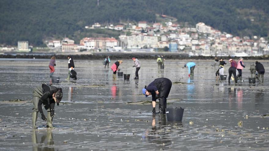 La mortandad de los bivalvos ahoga la economía de las mariscadoras: «Estamos totalmente paradas, cada vez quedamos menos»