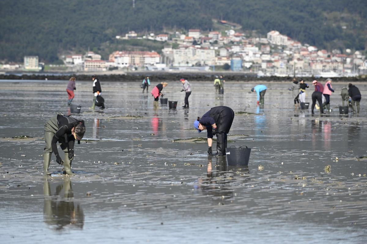 Trabajadoras limpiando bancos de marisqueo en Lourizán.