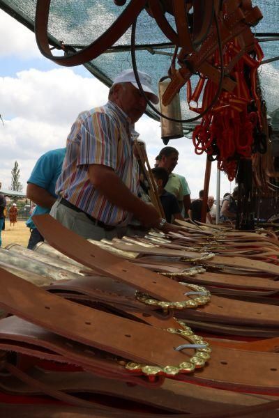 Feria de la Raza Sayaguesa en Bermillo