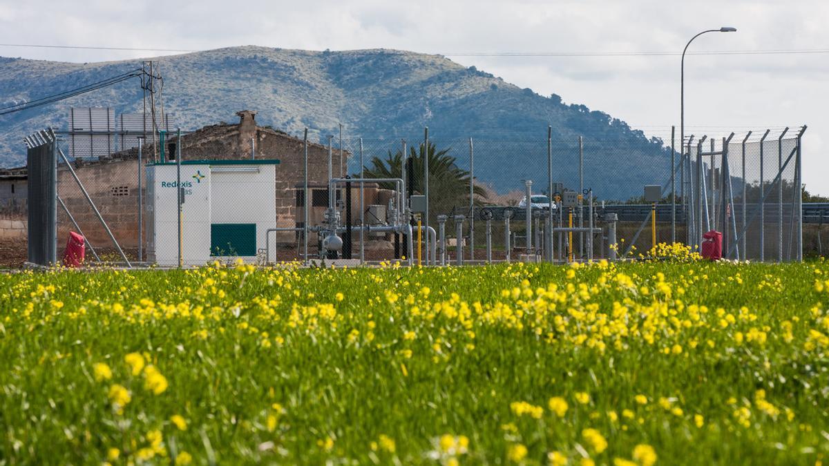 Las infraestructuras de Redexis están plenamente integradas en la naturaleza.