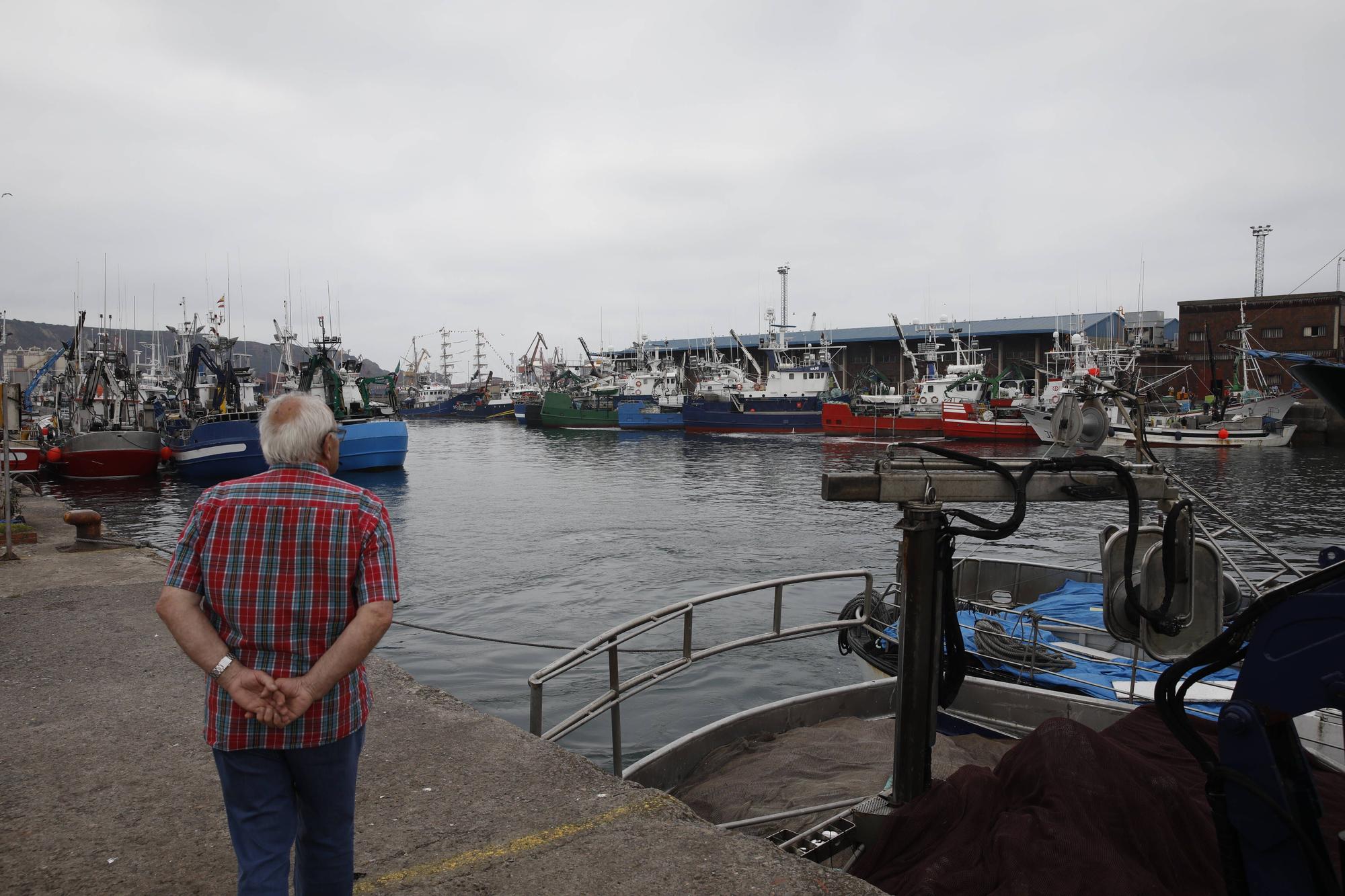 En imágenes: Gran descarga de bocarte en el puerto de Gijón