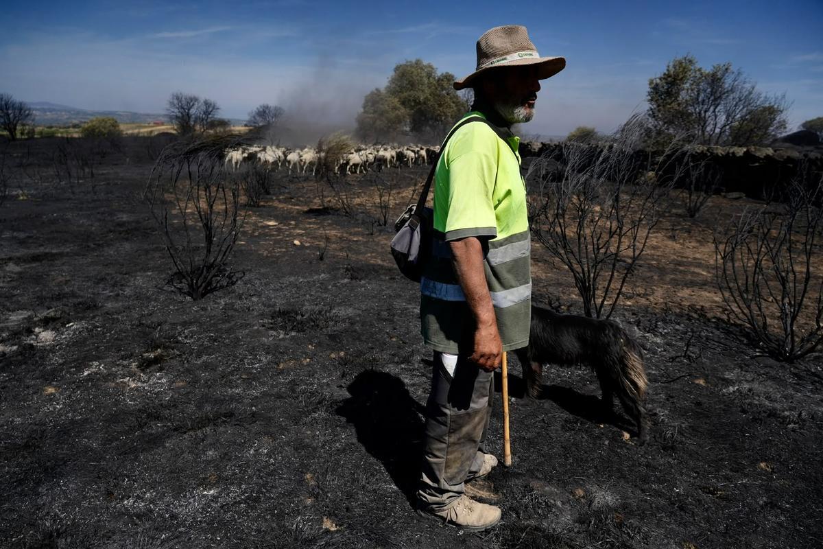 El incendio de Fermoselle arrasa los pastos.