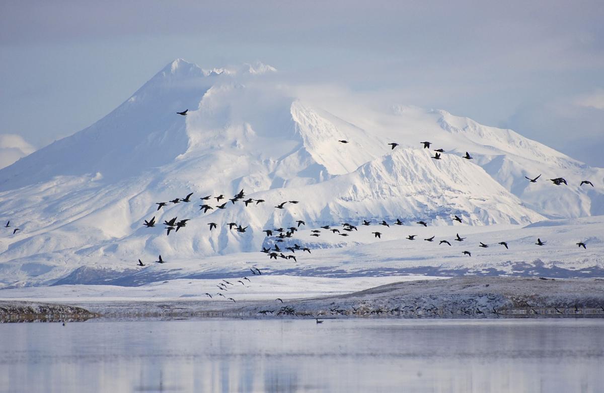 El Ártico se calienta por encima de la media mundial