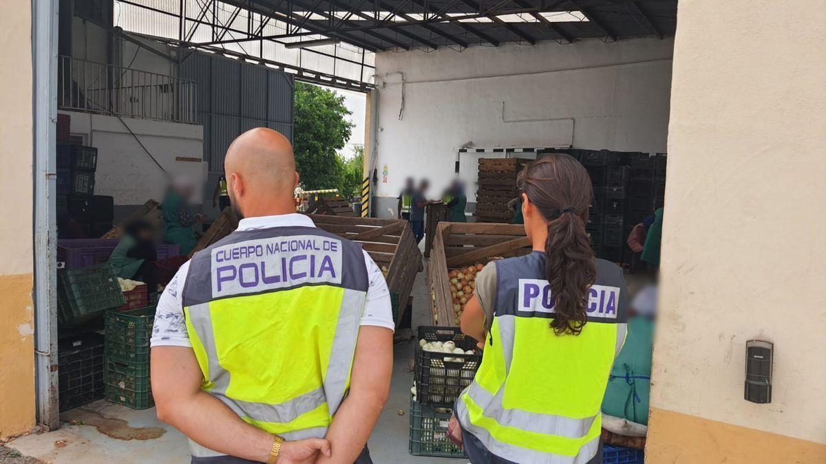 Dos agentes en la empresa inspeccionada en Callosa de Segura.