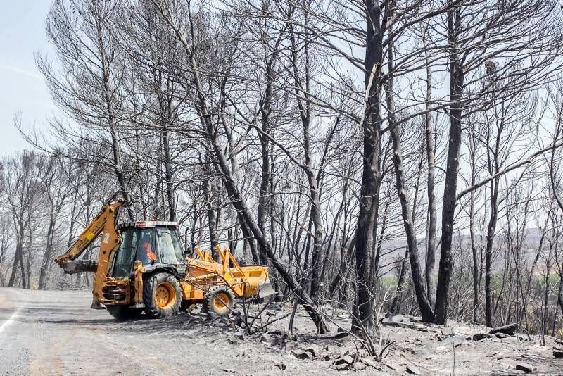 Fotogalería del incendio de las Cinco Villas